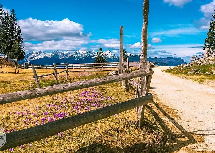 Hiša za goste 902 Crnivec 3*